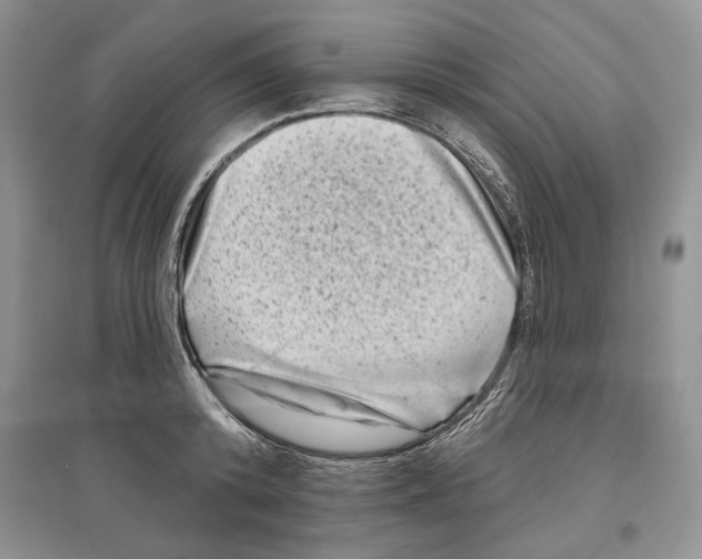 X0000097290800200803141509