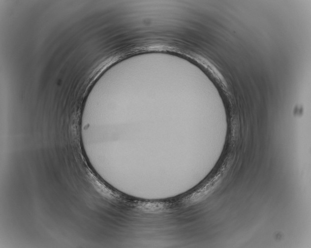 X0000097290801200803141509