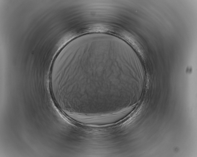 X0000097290802200803141509