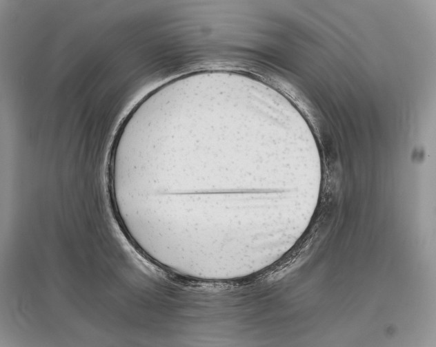 X0000097290803200803141509