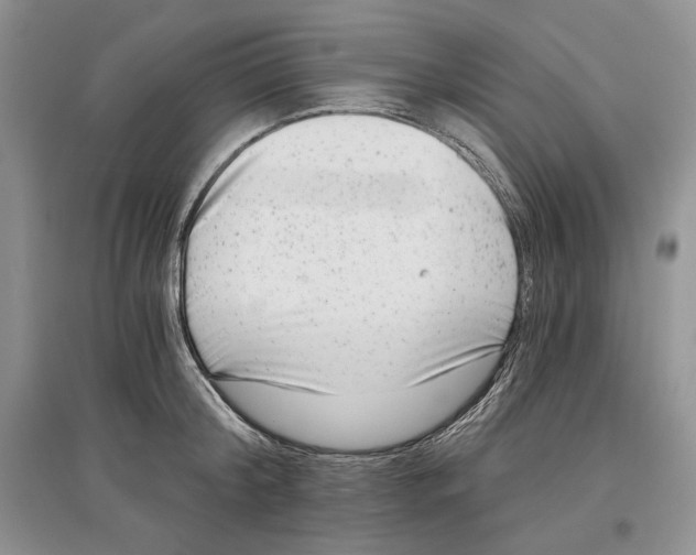 X0000097290804200803141509