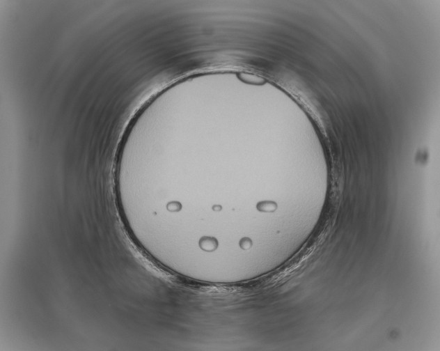 X0000097290805200803141509