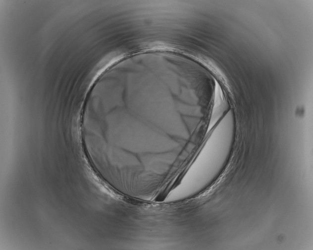 X0000097290806200803141509