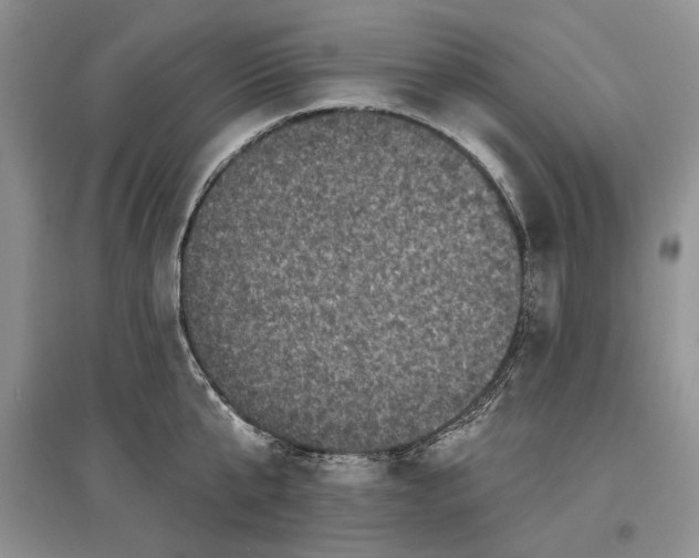 X0000097290807200803141509