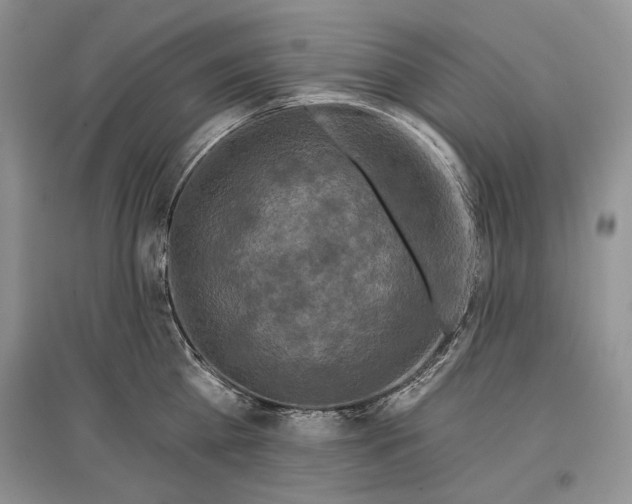 X0000097290809200803141509