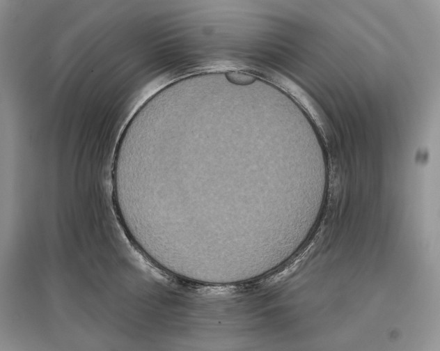 X0000097290810200803141509