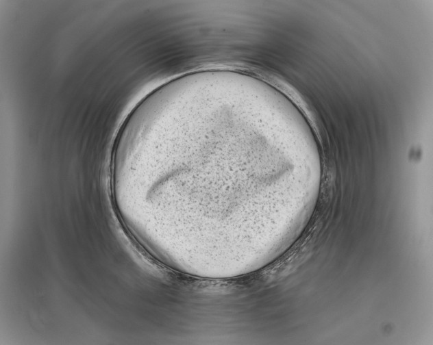 X0000097290811200803141509