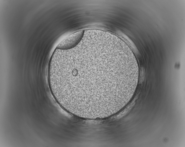 X0000097290812200803141509