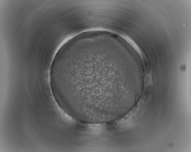 X0000097290813200803141509