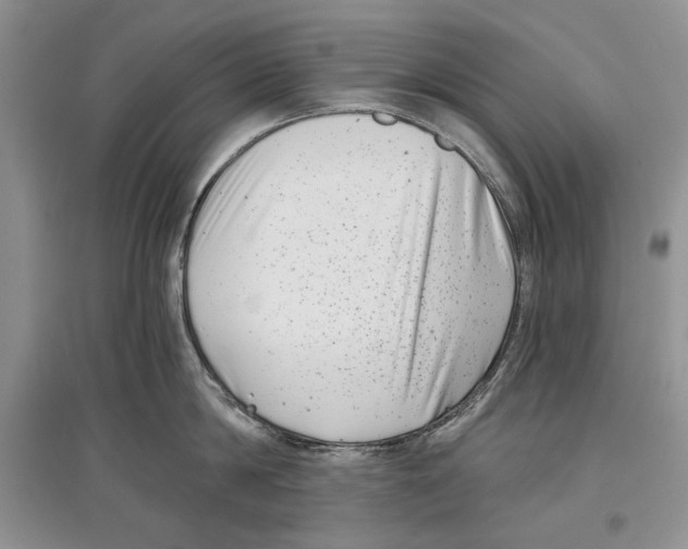 X0000097290814200803141509