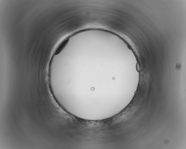 X0000097290815200803141509