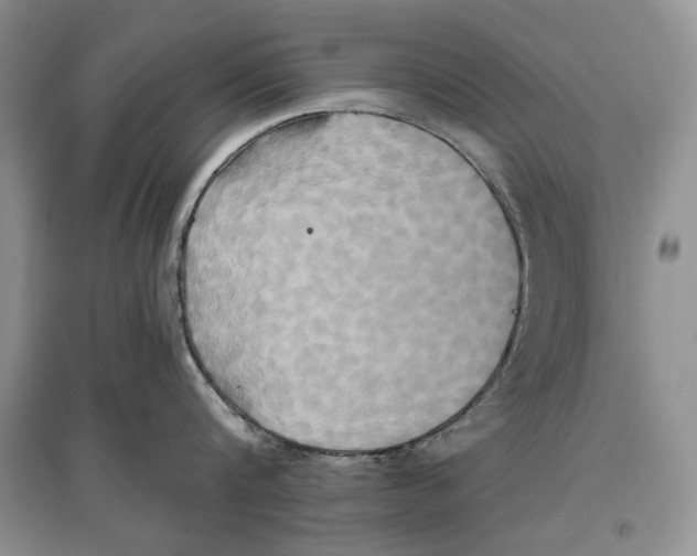 X0000097290816200803141509