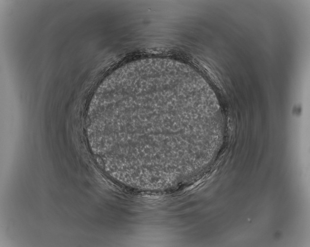 X0000097290817200803141508