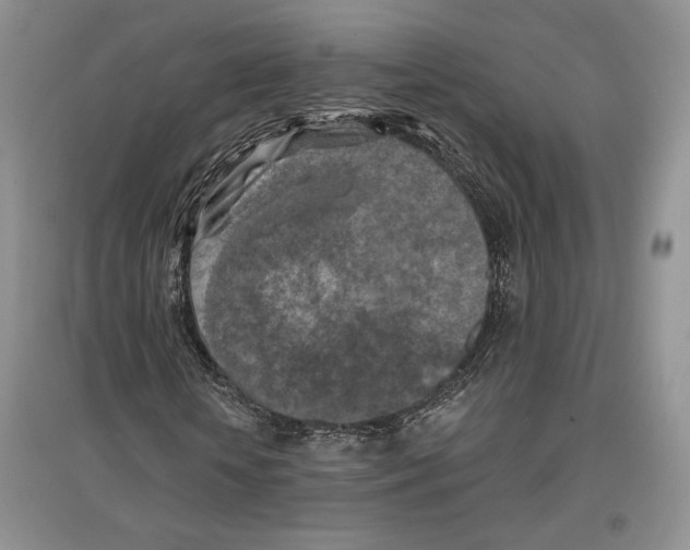 X0000097290818200803141508