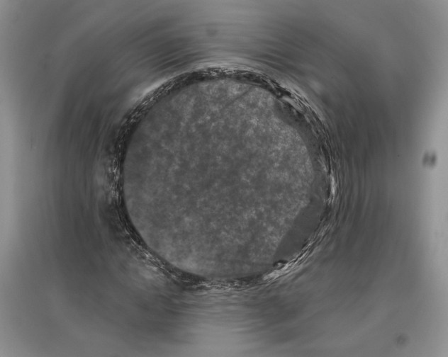 X0000097290822200803141508