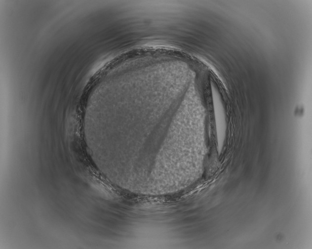 X0000097290823200803141508