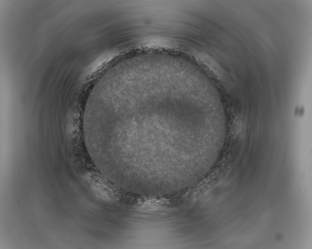 X0000097290824200803141508