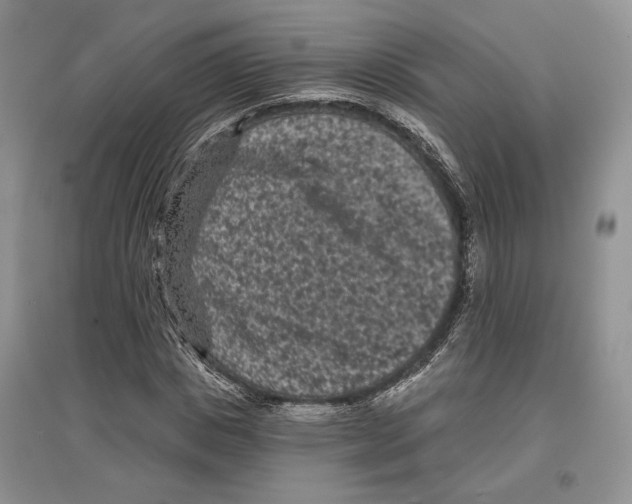 X0000097290825200803141508