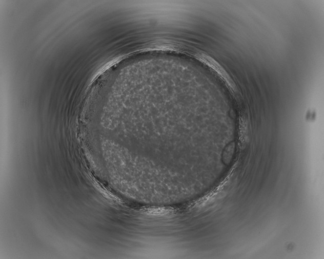 X0000097290826200803141508