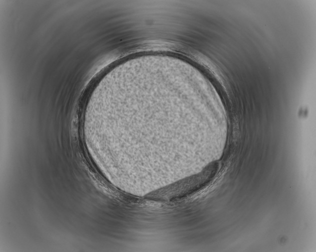 X0000097290827200803141508