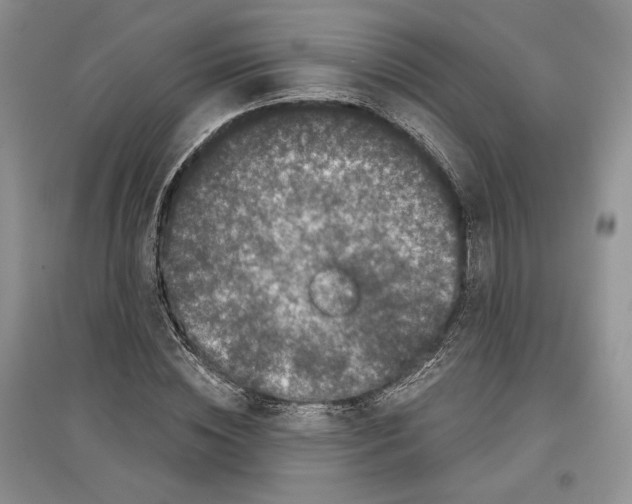 X0000097290828200803141508