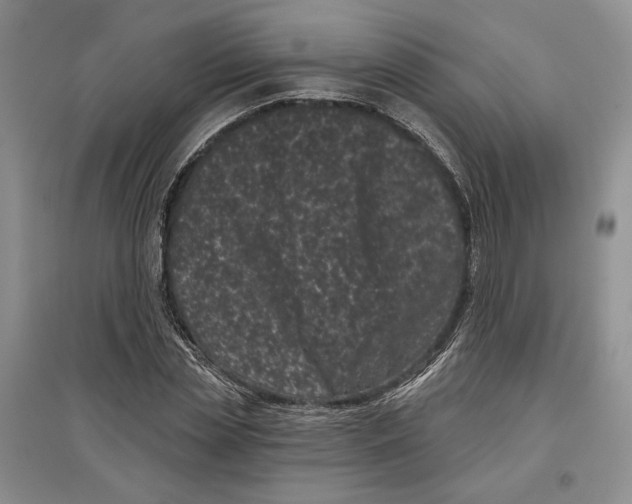 X0000097290829200803141508