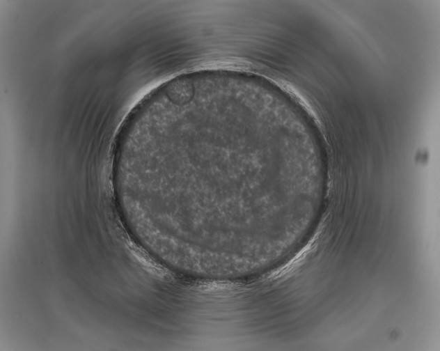 X0000097290830200803141508