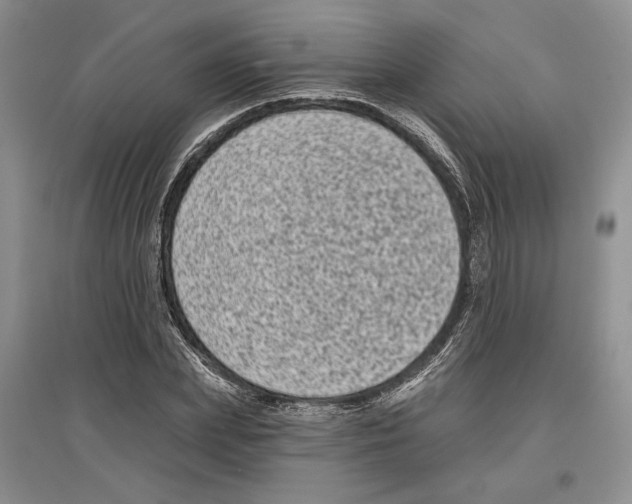 X0000097290831200803141509