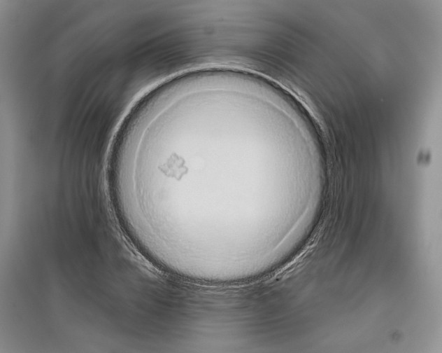 X0000097290832200803141509