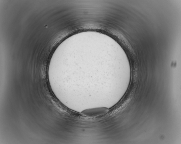 X0000097290833200803141509