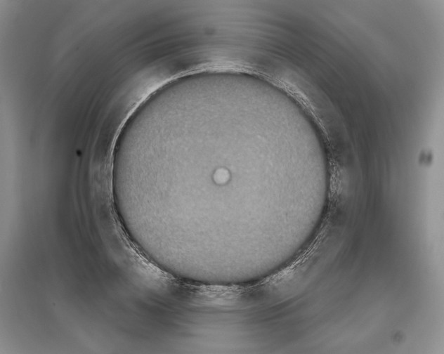 X0000097290836200803141509