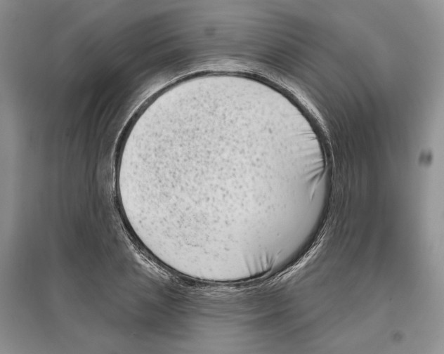 X0000097290837200803141509