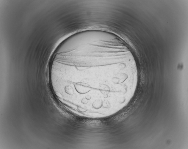 X0000097290838200803141509