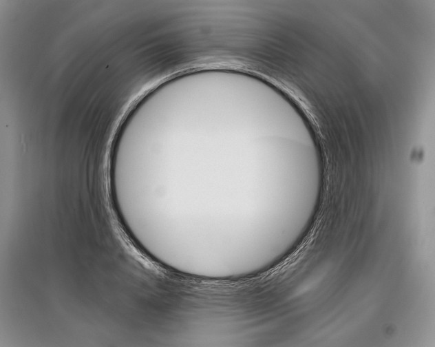 X0000097290840200803141509