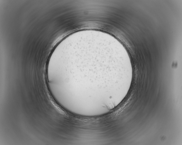 X0000097290842200803141509