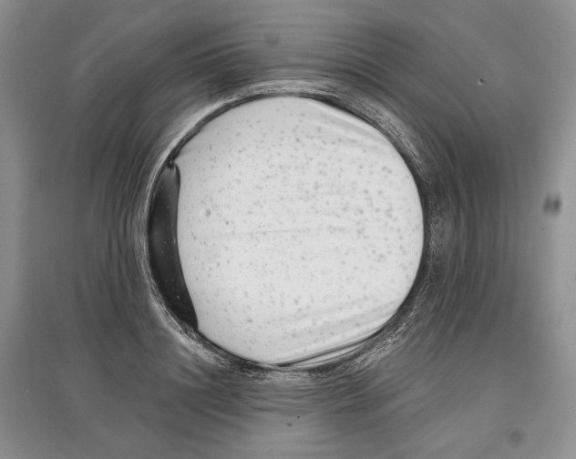 X0000097290844200803141509