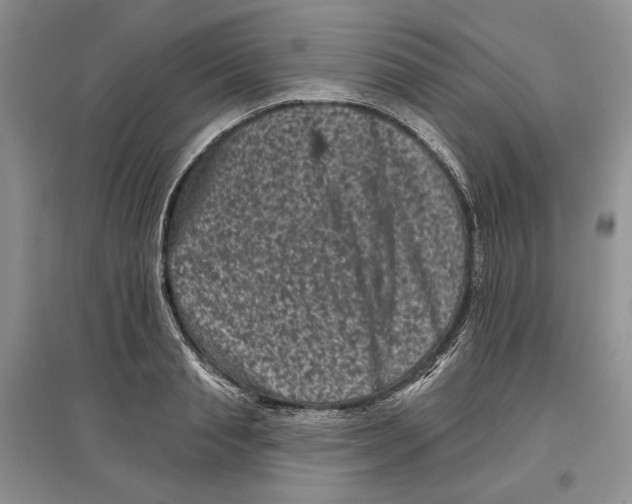 X0000097290845200803141509