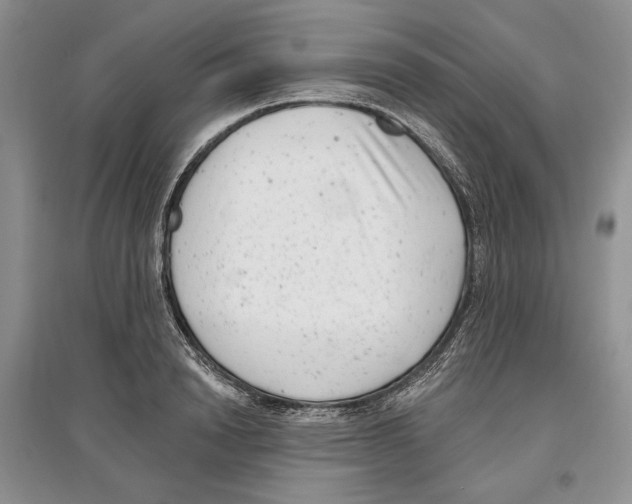 X0000097290846200803141509