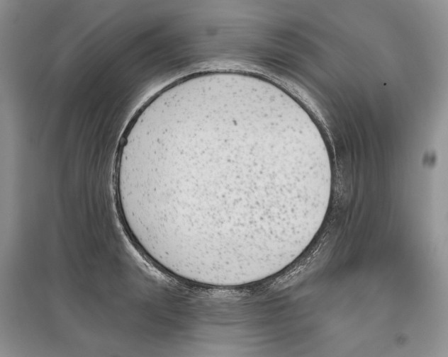 X0000097290847200803141509