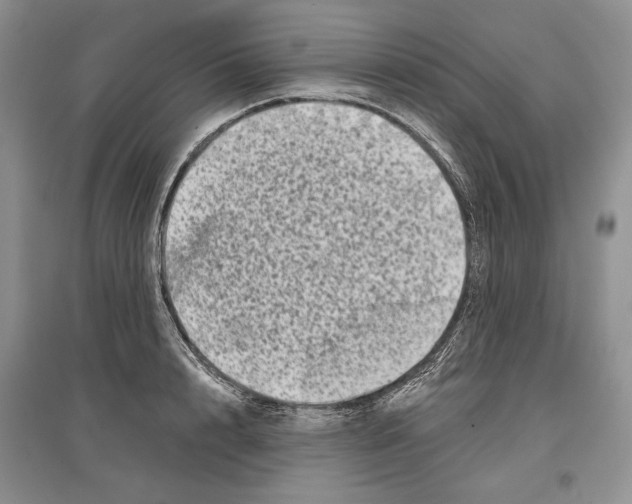 X0000097290848200803141509