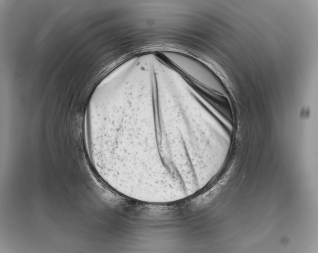 X0000097290849200803141509