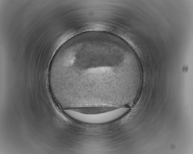 X0000097290850200803141509