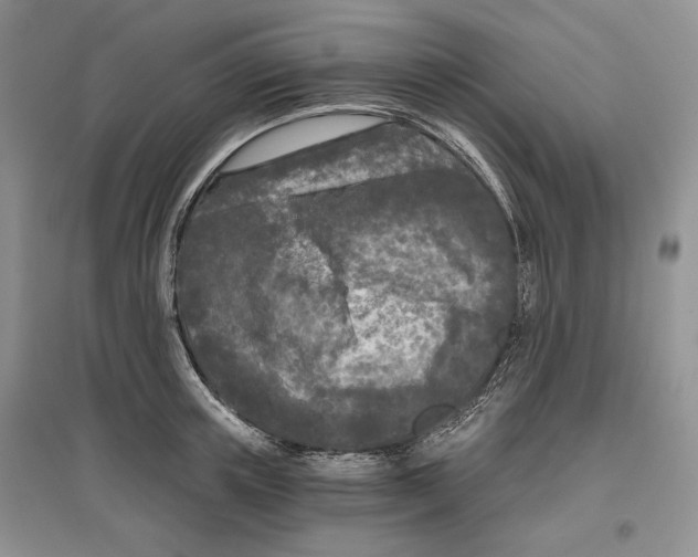 X0000097290851200803141509