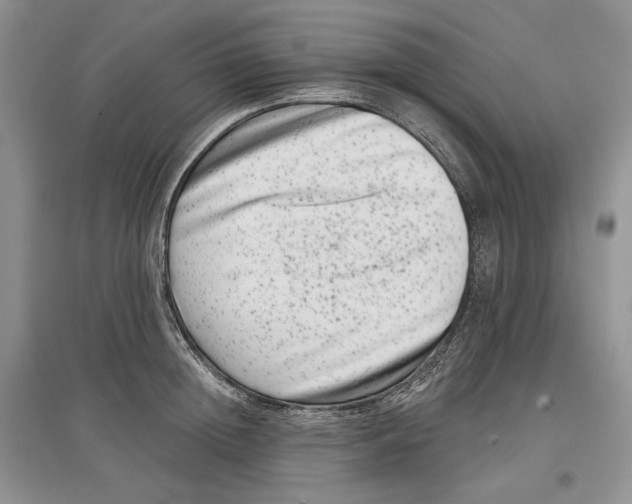 X0000097290852200803141509