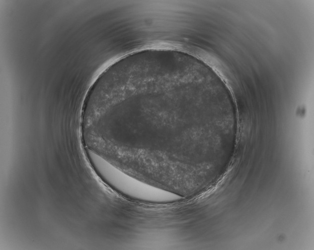 X0000097290853200803141509