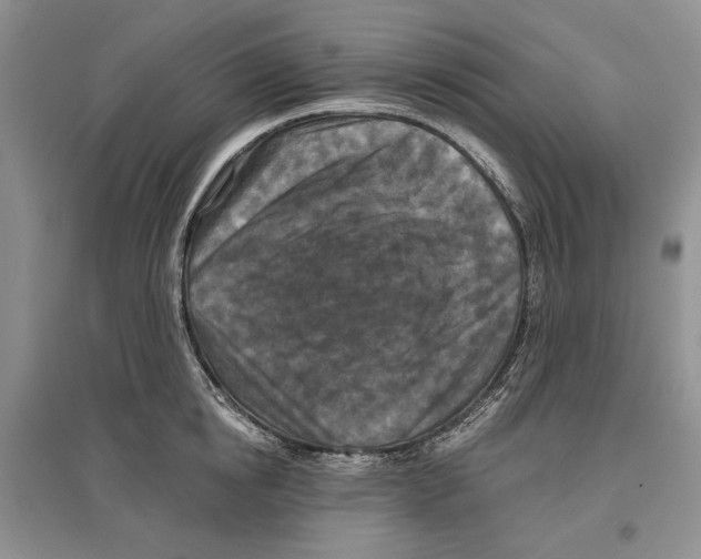 X0000097290854200803141509