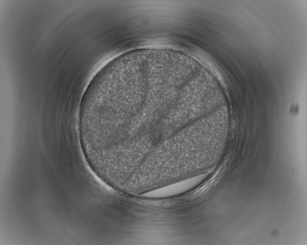 X0000097290855200803141509