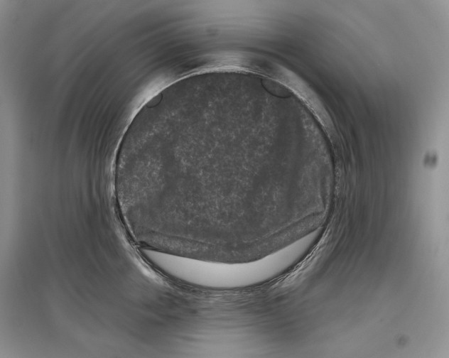 X0000097290858200803141509