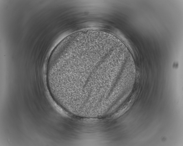 X0000097290859200803141509