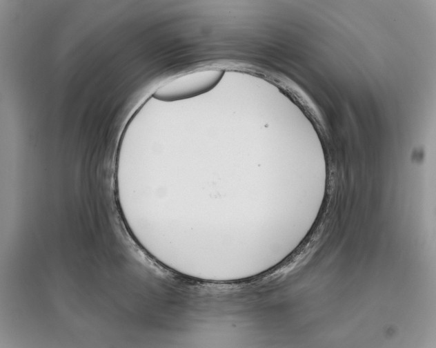 X0000097290860200803141509